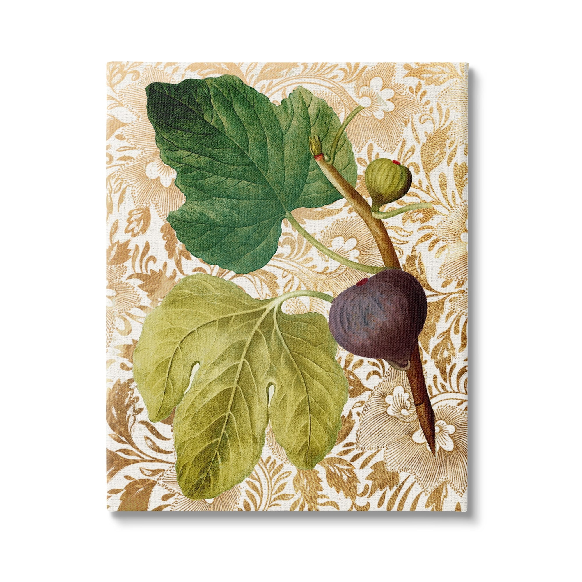 Stupell Industries Ornate Produce Fig Plant Pattern Botanical & Floral Painting Gallery Wrapped Canvas Print Wall Art