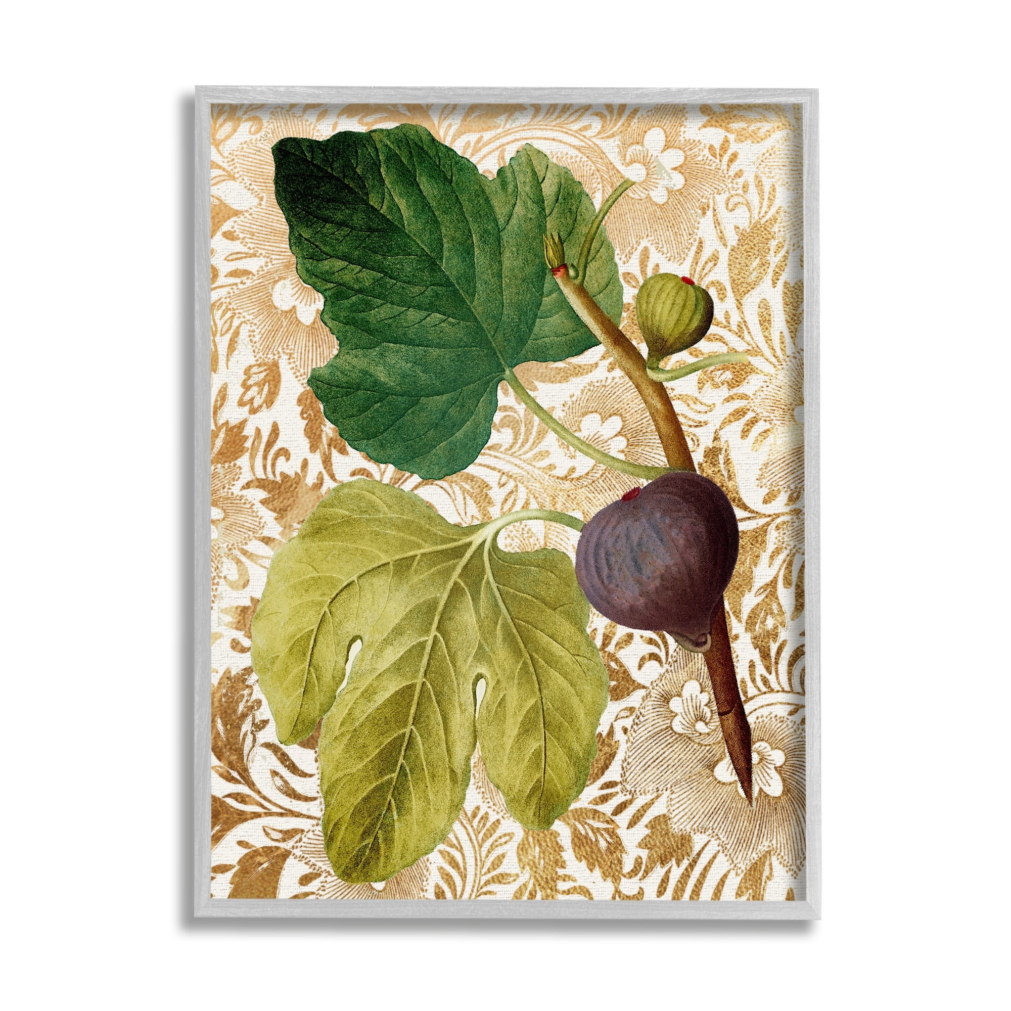 Stupell Industries Ornate Produce Fig Plant Pattern Botanical & Floral Painting Gray Framed Art Print Wall Art