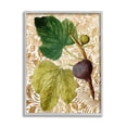 thumbnail image 1 of Stupell Industries Ornate Produce Fig Plant Pattern Botanical & Floral Painting Gray Framed Art Print Wall Art, 1 of 5