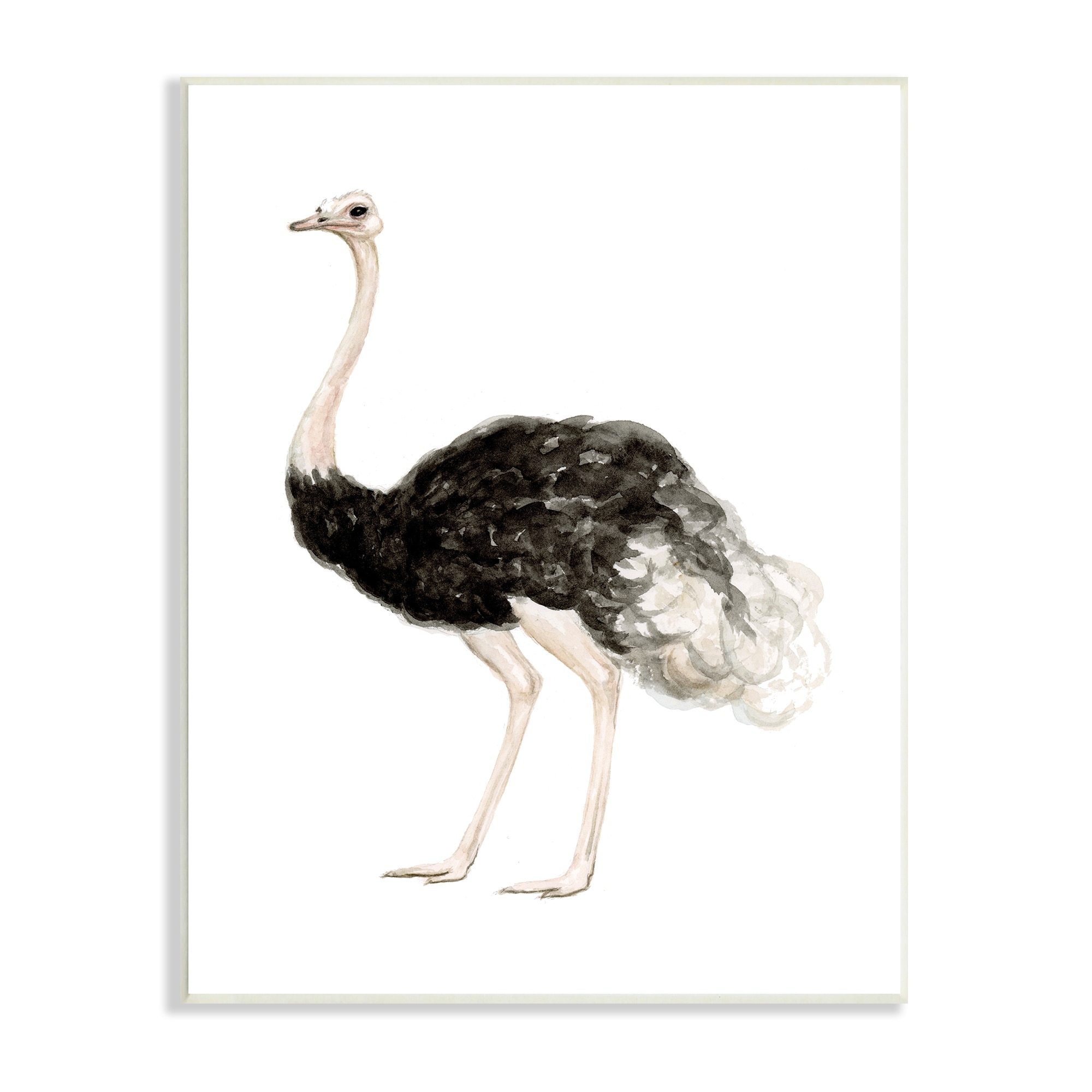 Stupell Industries Ostrich Bird Watercolor Portrait Kids' Nursery Wildlife Animal, 10 x 15,Design by Fox Hollow Studios