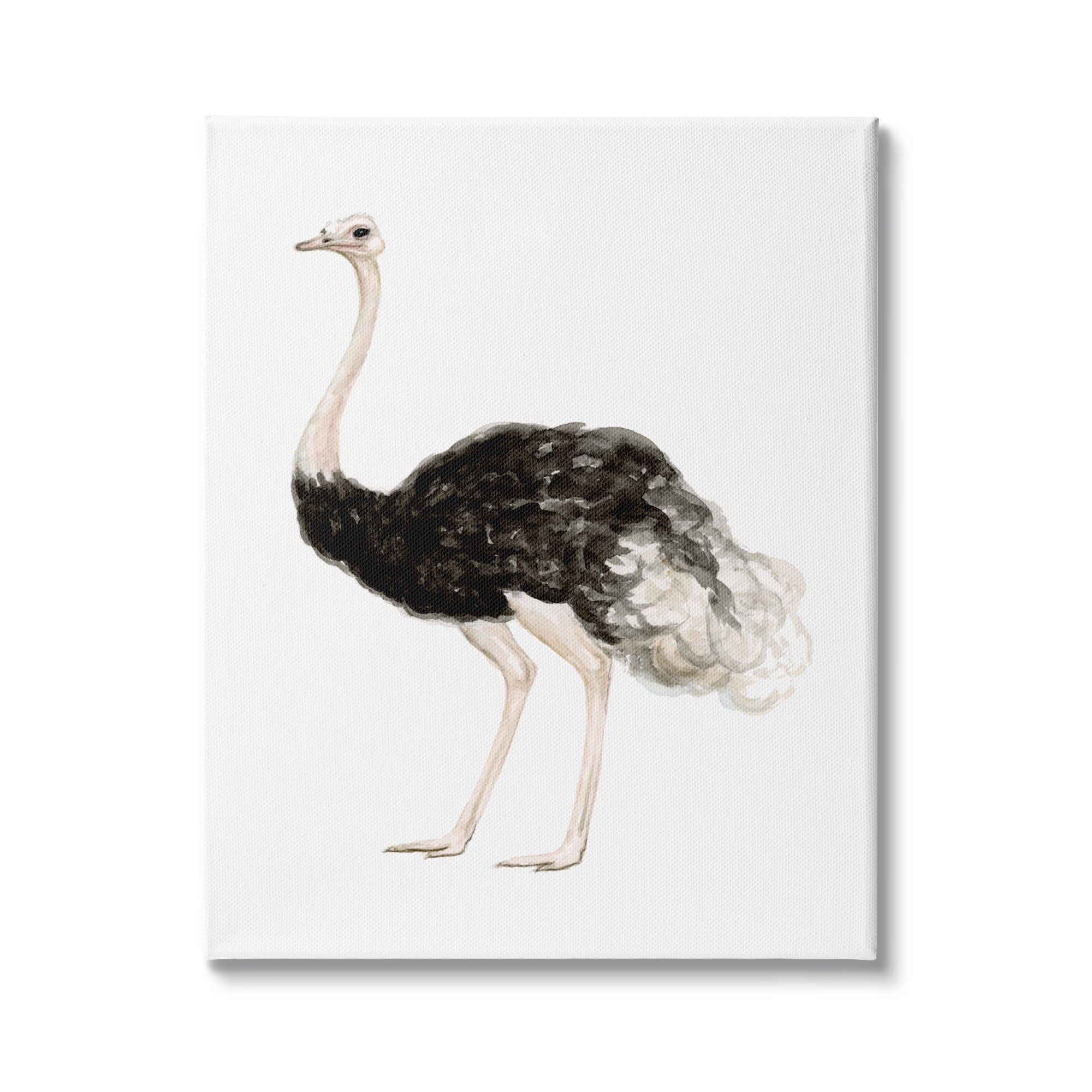 Stupell Industries Ostrich Bird Watercolor Portrait Kids' Nursery Wildlife Animal, 24 x 30,Design by Fox Hollow Studios