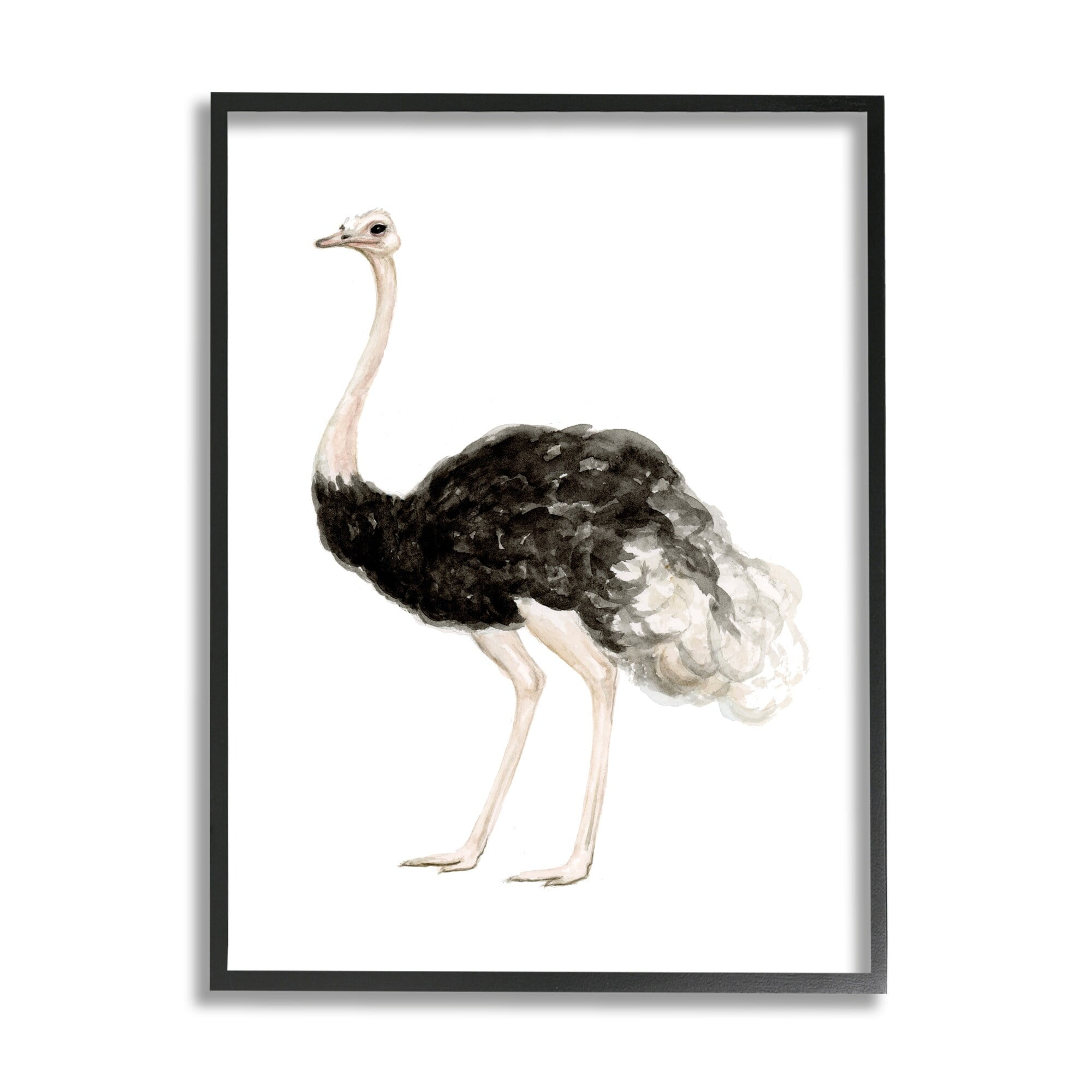 Stupell Industries Ostrich Bird Watercolor Portrait Kids' Nursery Wildlife Animal, 24 x 30,Design by Fox Hollow Studios