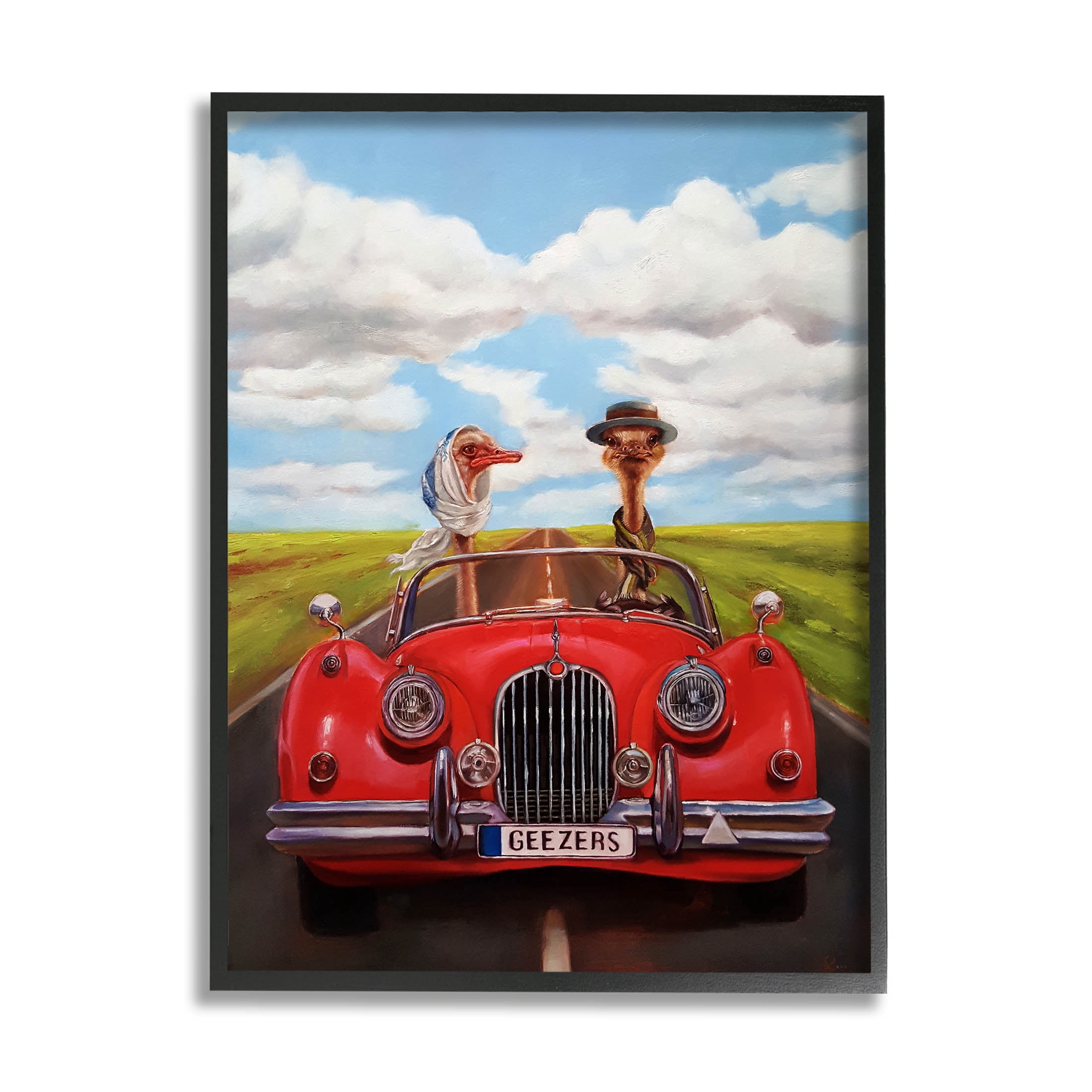 Stupell Industries Ostrich Couple Geezers Convertible Painting Black Framed Art Print Wall Art, Design by Lucia Heffernan