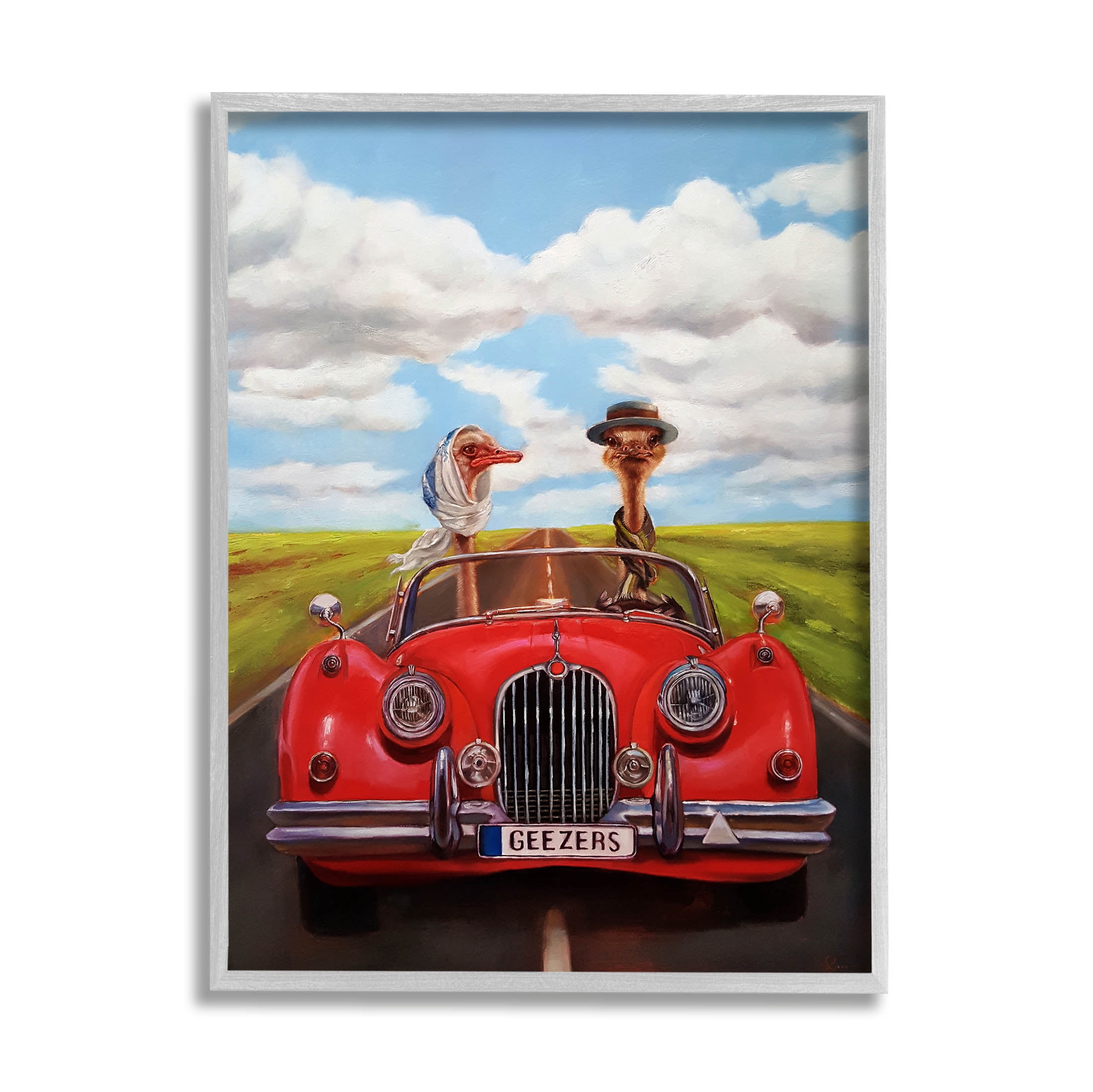 Stupell Industries Ostrich Couple Geezers Convertible Painting Gray Framed Art Print Wall Art, Design by Lucia Heffernan