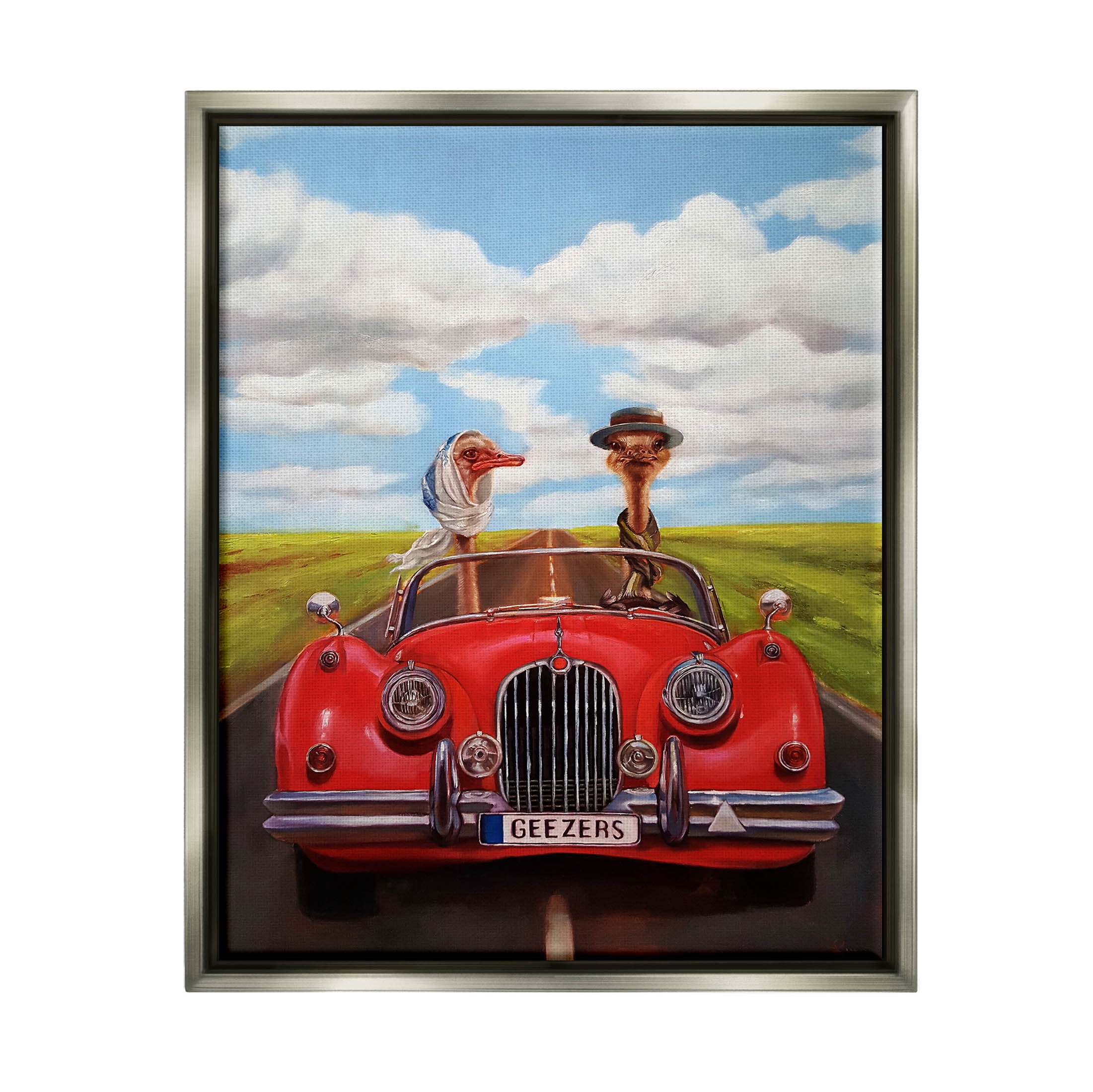 Stupell Industries Ostrich Couple Geezers Convertible Painting Luster Gray Floating Framed Canvas Print Wall Art, Design by Lucia Heffernan