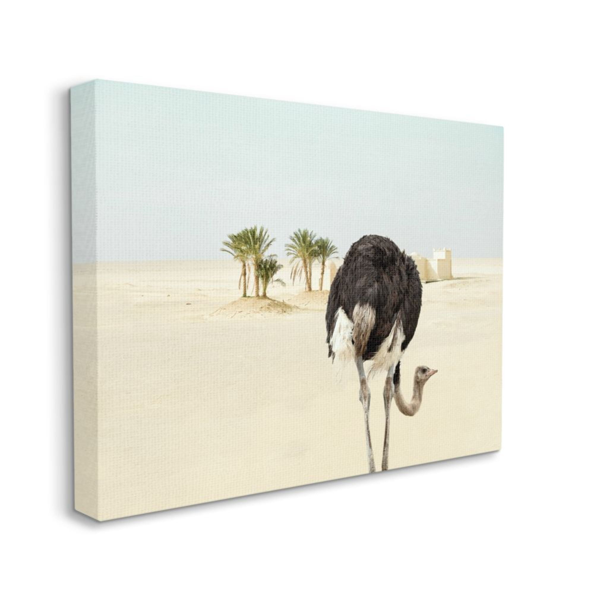 Stupell Industries Ostrich in Desert Muted Sand Landscape Design by Ziwei Li, 16" x 20"