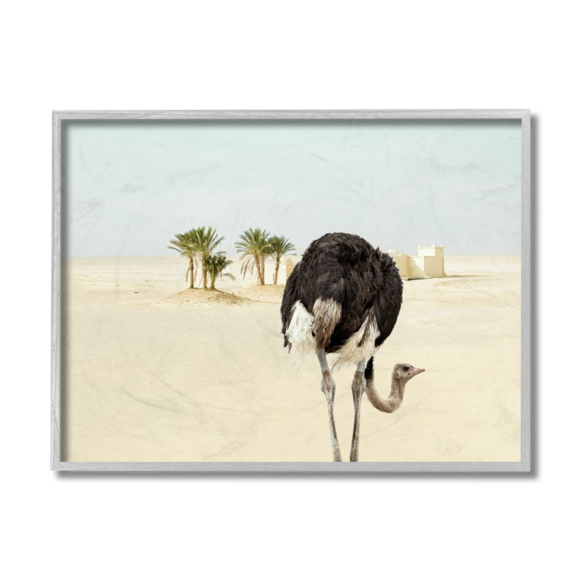Stupell Industries Ostrich in Desert Muted Sand Landscape Design by Ziwei Li