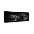 thumbnail image 1 of Stupell Industries Otter Pair Minimal Photograph Black and White Canvas Wall Art, 13 x 30, Design by Julie T. Chapman, 1 of 6
