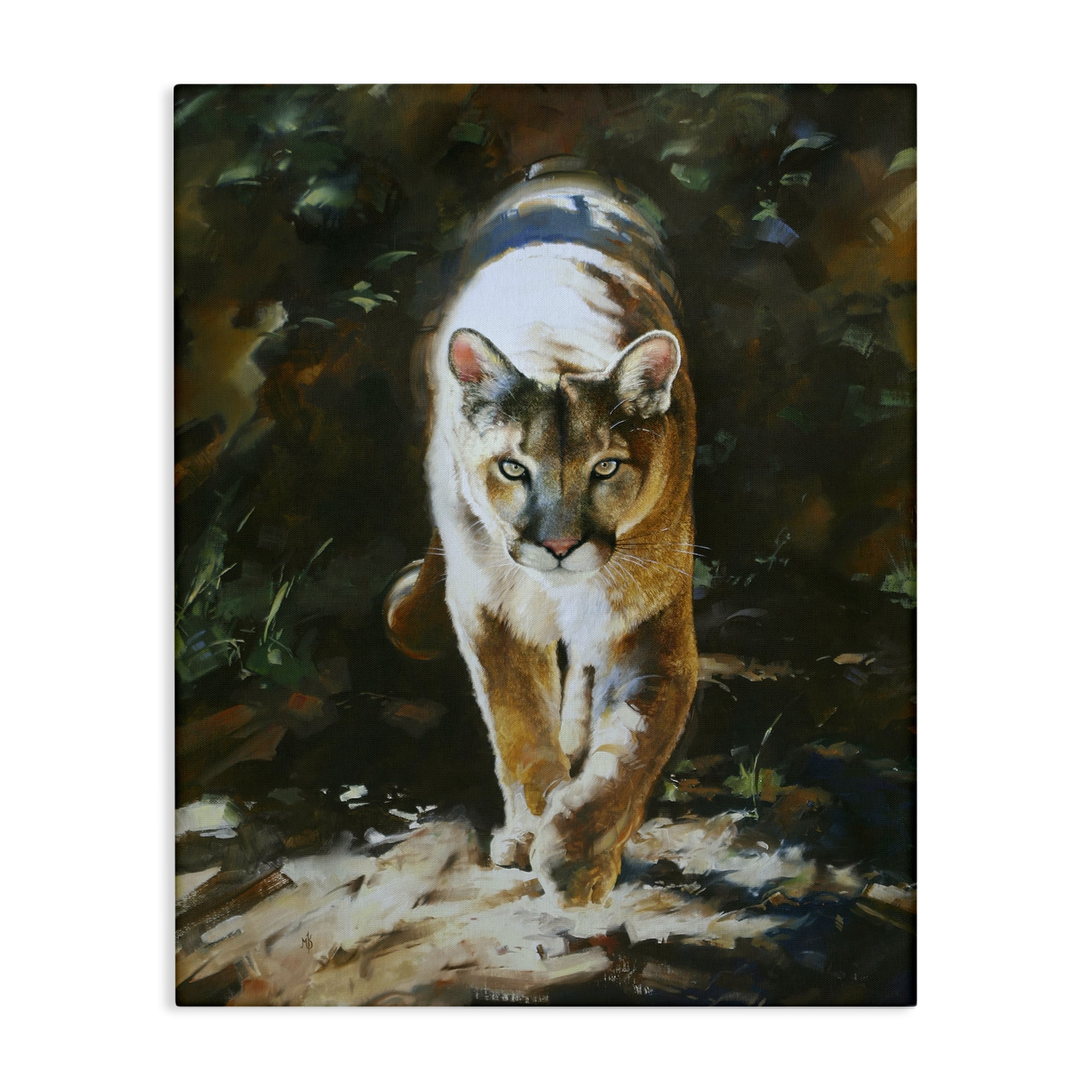 Stupell Industries Out of Shadows Panther Animals Painting Wrapped Canvas Art Print Wall Art, 16 x 20