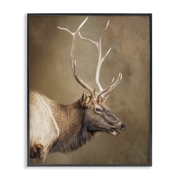 Stupell Industries Outdoorsman Rustic Deer Black Framed Giclee Art design by Kelley Parker, 14 x 11