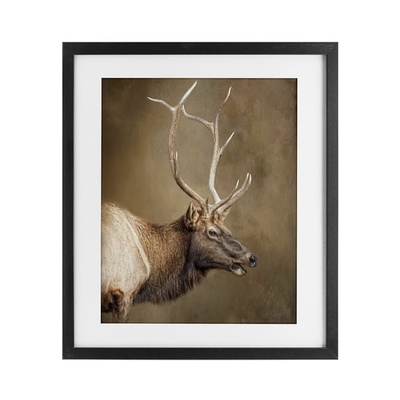 Stupell Industries Outdoorsman Rustic Deer Black Framed Print Under Glass design by Kelley Parker, 16 x 13