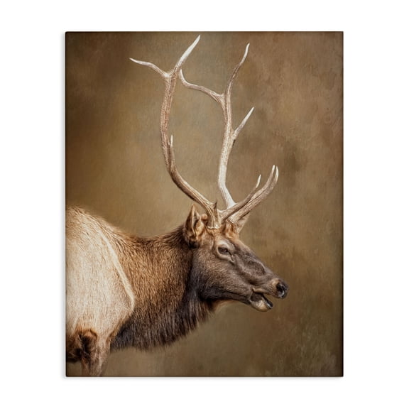 Stupell Industries Outdoorsman Rustic Deer Canvas Wall Art design by Kelley Parker, 20 x 16