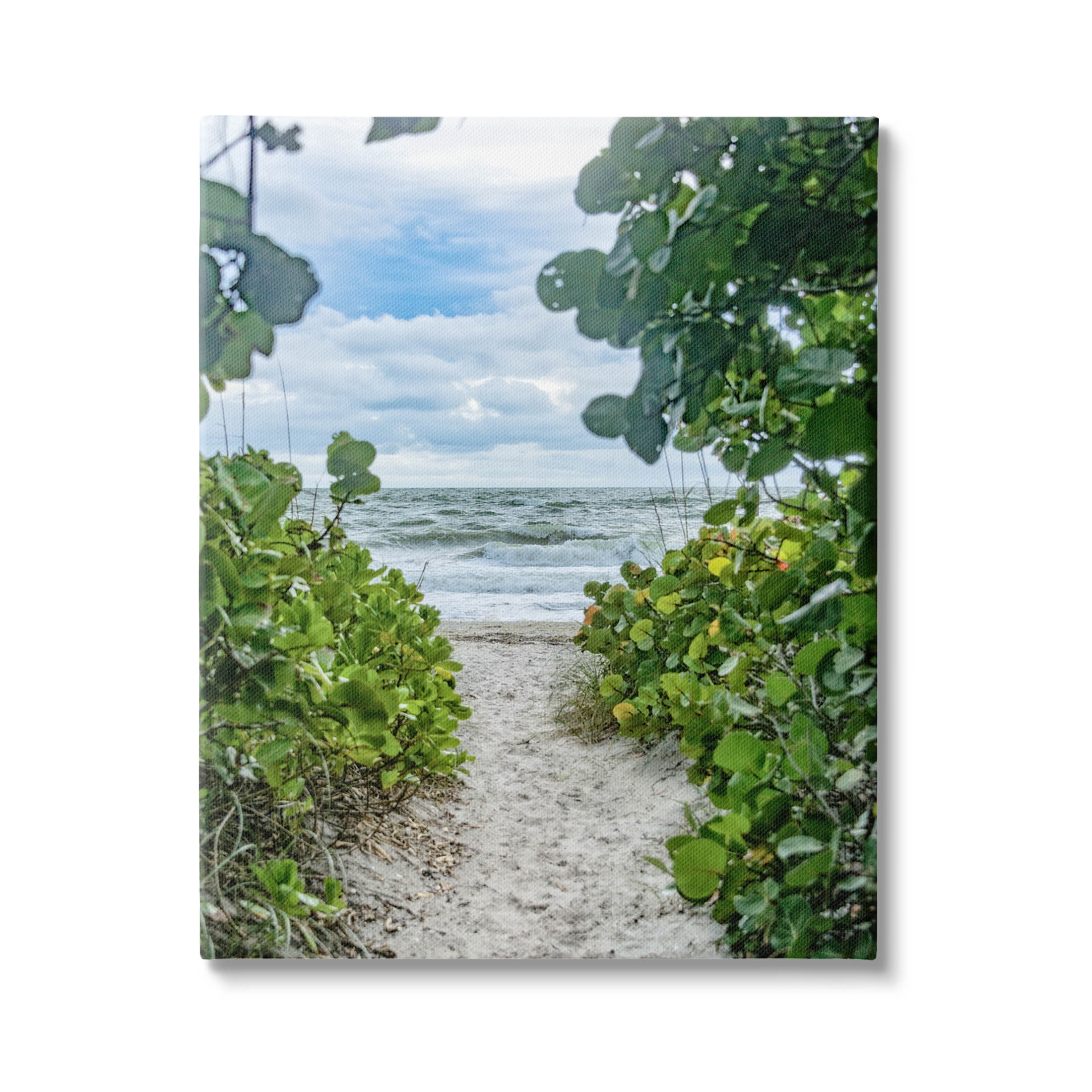 Stupell Industries Overhanging Beach Greenery Plants Path Photograph Gallery Wrapped Canvas Print Wall Art, Design by Mary Lou Photography