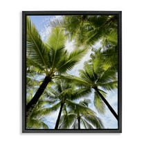 Stupell Industries Overhead Palm Trees Plants & Flowers Photography Black Floater Framed Canvas Art Print Wall Art, 17 x 21