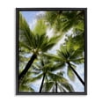 thumbnail image 1 of Stupell Industries Overhead Palm Trees Plants & Flowers Photography Black Floater Framed Canvas Art Print Wall Art, 25 x 31, 1 of 10