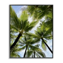 Stupell Industries Overhead Palm Trees Plants & Flowers Photography Black Framed Art Print Wall Art, 11 x 14
