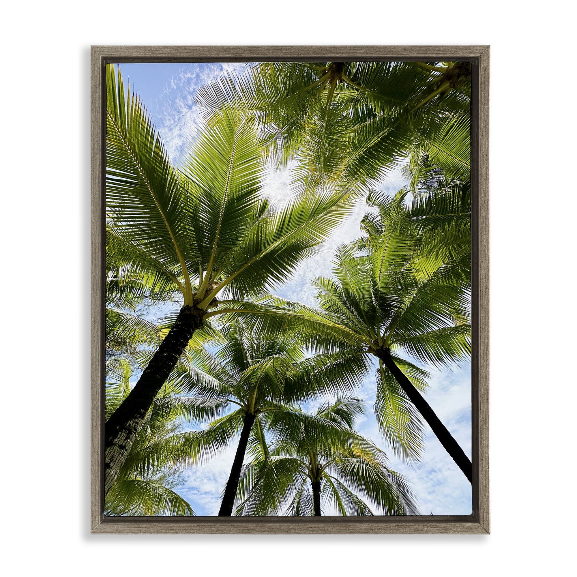 Stupell Industries Overhead Palm Trees Plants & Flowers Photography Brown Floater Framed Canvas Art Print Wall Art, 17 x 21
