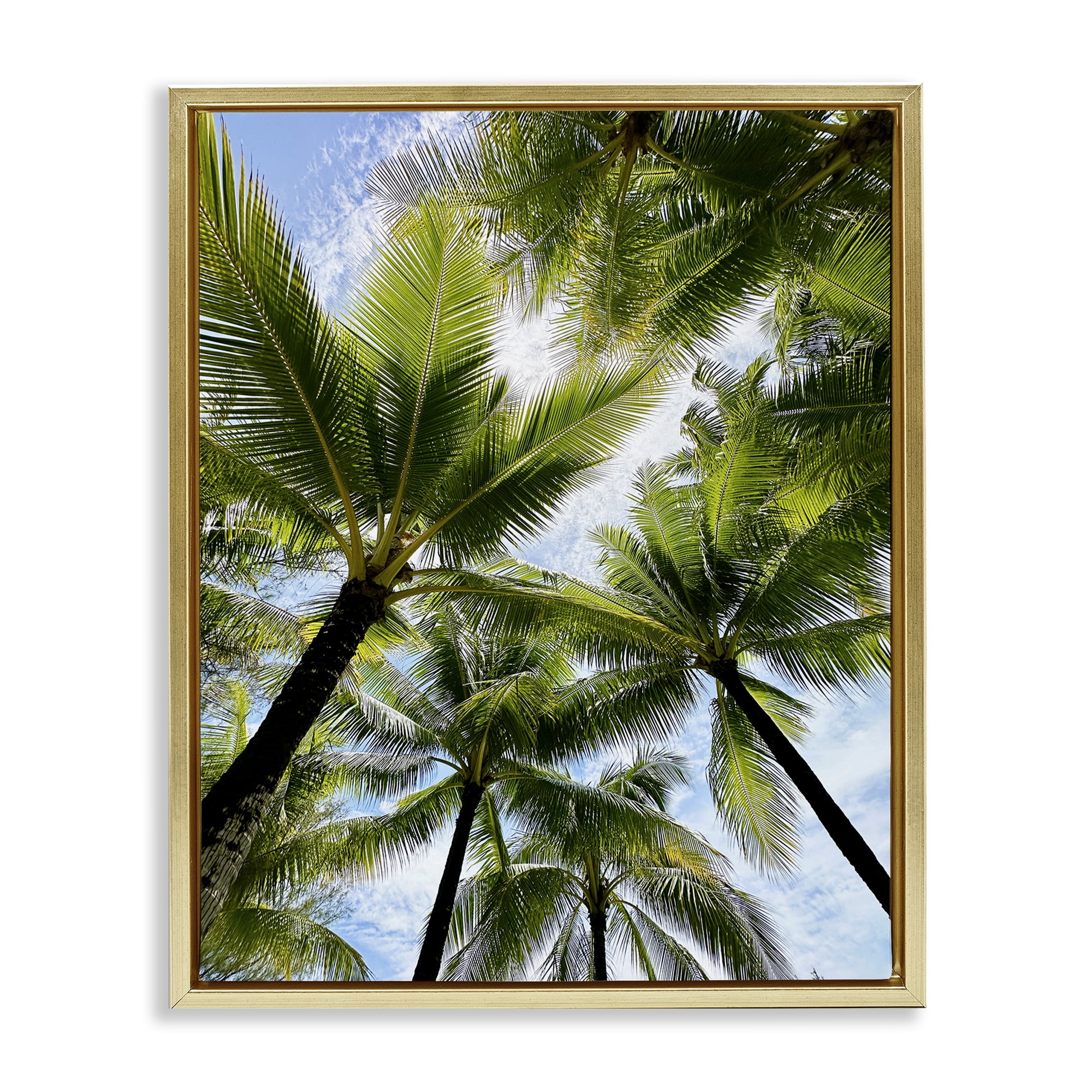 Stupell Industries Overhead Palm Trees Plants & Flowers Photography Gold Floater Framed Canvas Art Print Wall Art, 25 x 31