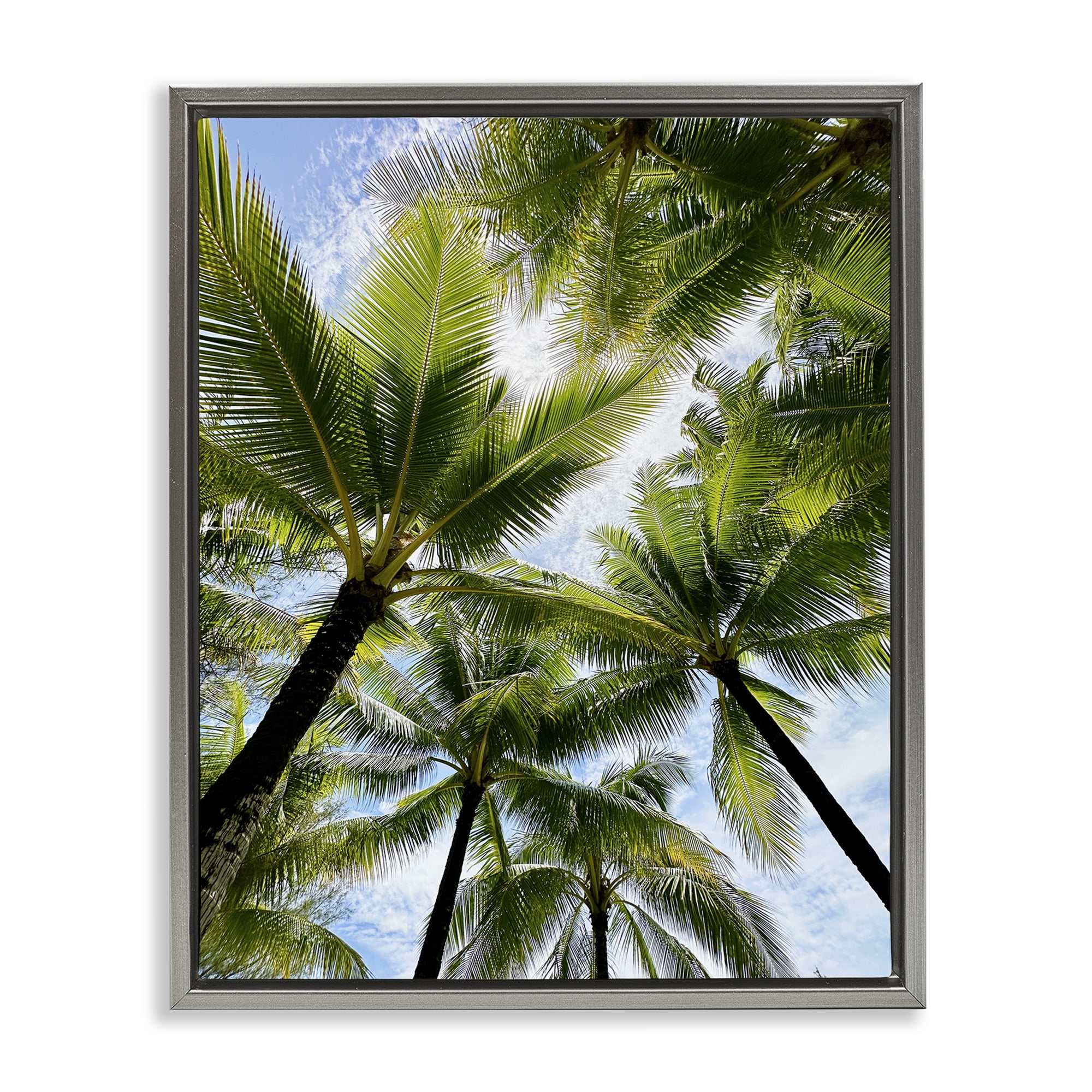 Stupell Industries Overhead Palm Trees Plants & Flowers Photography Gray Floater Framed Canvas Art Print Wall Art, 17 x 21