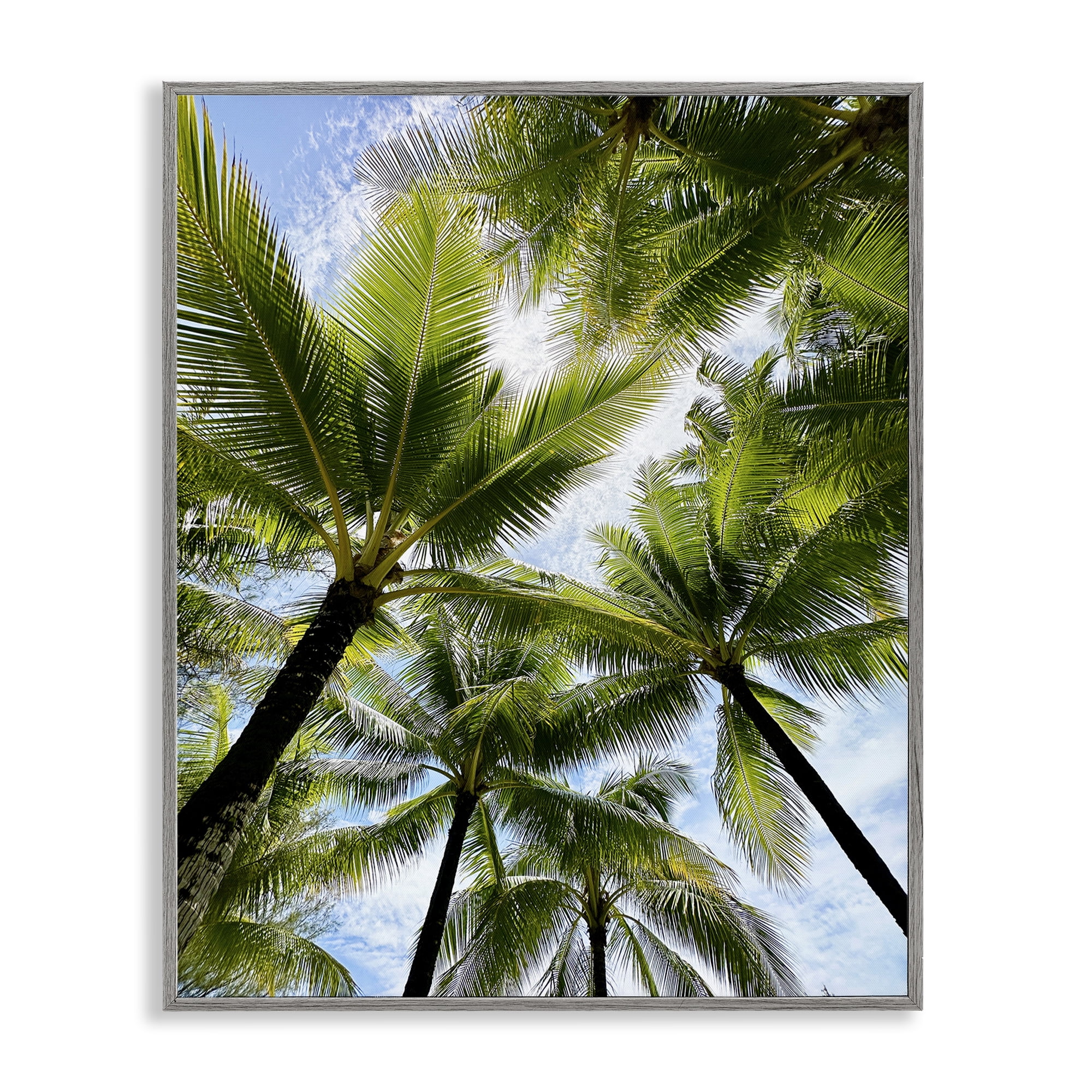 Stupell Industries Overhead Palm Trees Plants & Flowers Photography Gray Framed Art Print Wall Art, 16 x 20