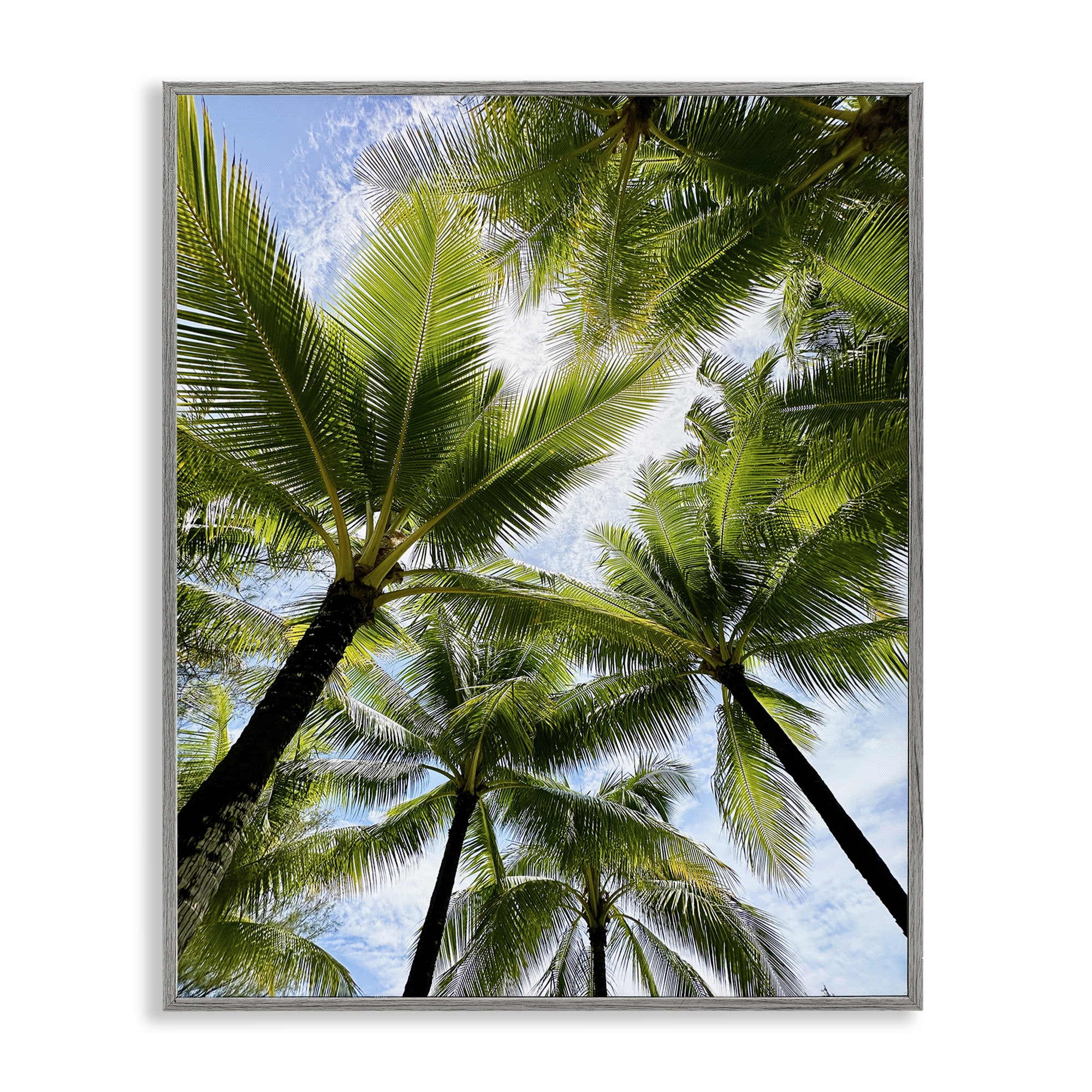 Stupell Industries Overhead Palm Trees Plants & Flowers Photography Gray Framed Art Print Wall Art, 24 x 30