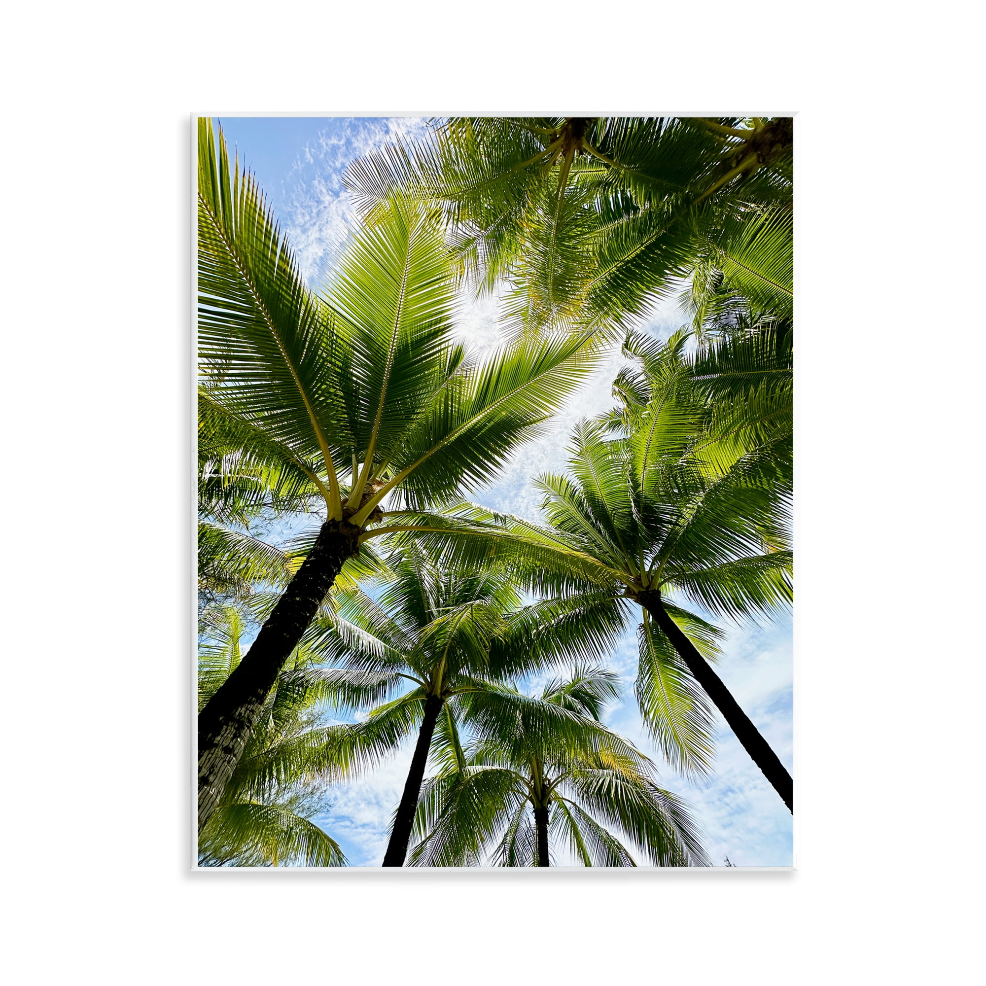 Stupell Industries Overhead Palm Trees Plants & Flowers Photography Unframed Art Print Wall Art, 11 x 14
