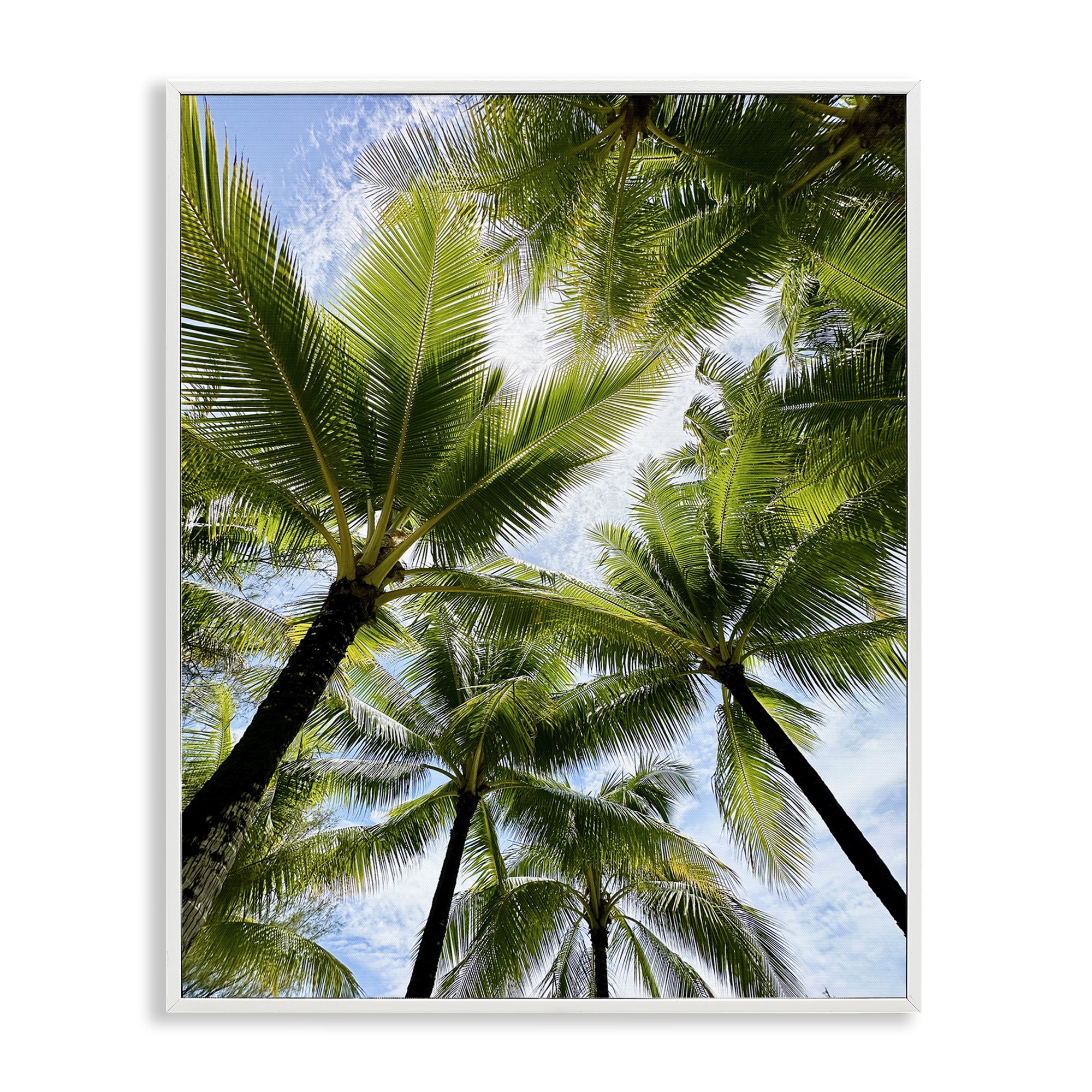 Stupell Industries Overhead Palm Trees Plants & Flowers Photography White Framed Art Print Wall Art, 11 x 14