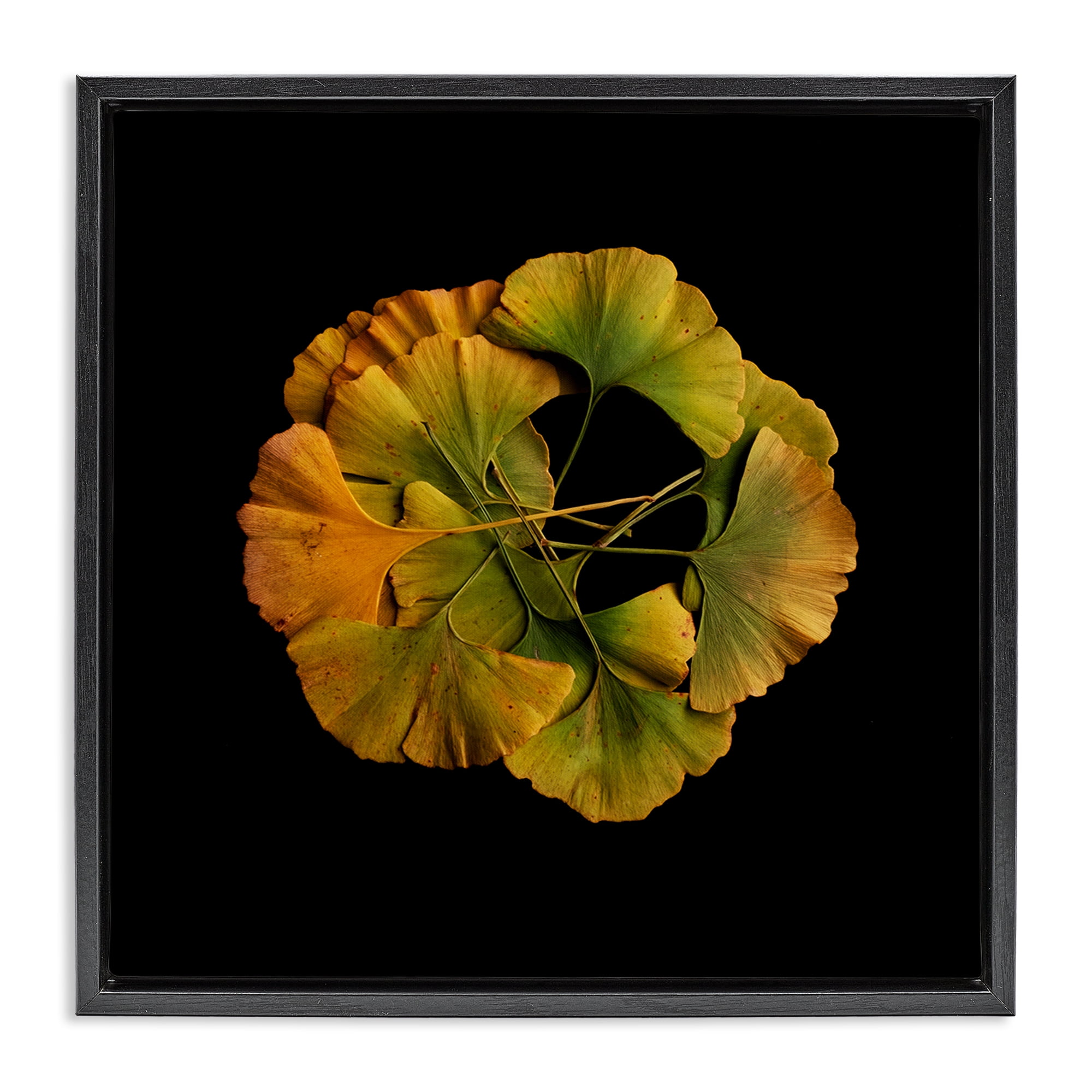 Stupell Industries Overlapping Ginkgo Leaves Black Framed Floater Canvas Wall Art, design by Beth Adoette