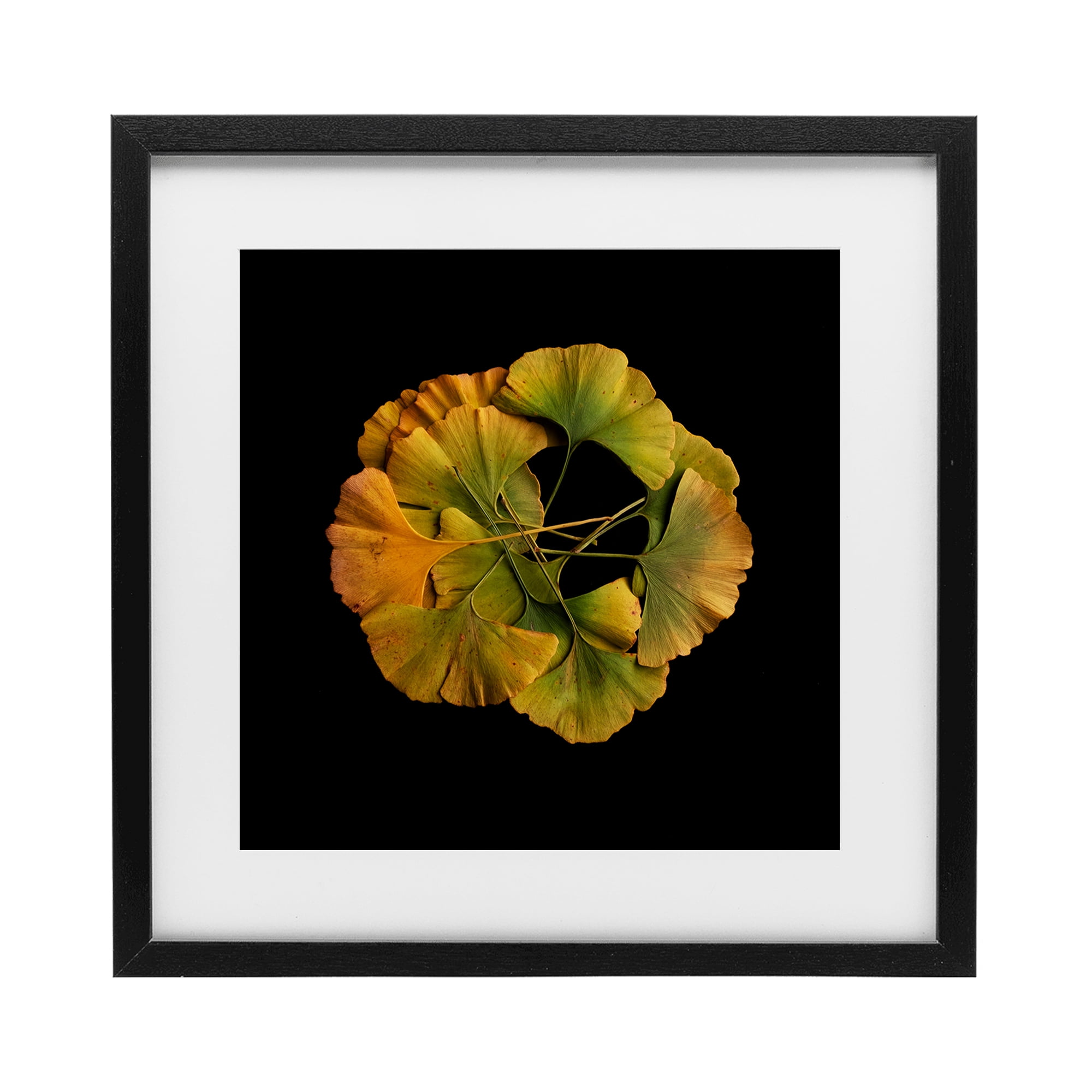 Stupell Industries Overlapping Ginkgo Leaves Black Framed Print Under Glass, design by Beth Adoette