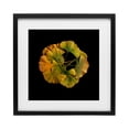 thumbnail image 1 of Stupell Industries Coastal Overlapping Ginkgo Leaves Black Framed Print Under Glass, 13 x 13, by Beth Adoette, 1 of 8