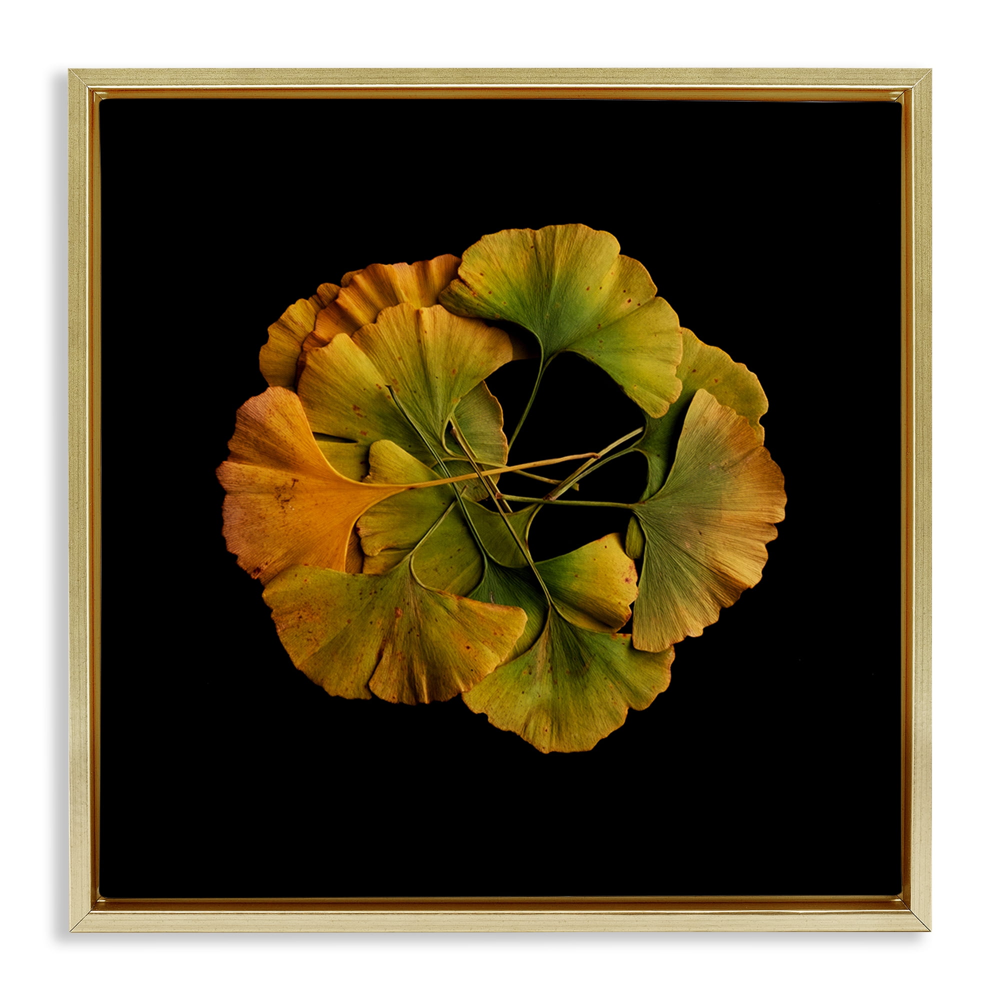 Stupell Industries Overlapping Ginkgo Leaves Gold Framed Floater Canvas Wall Art, design by Beth Adoette