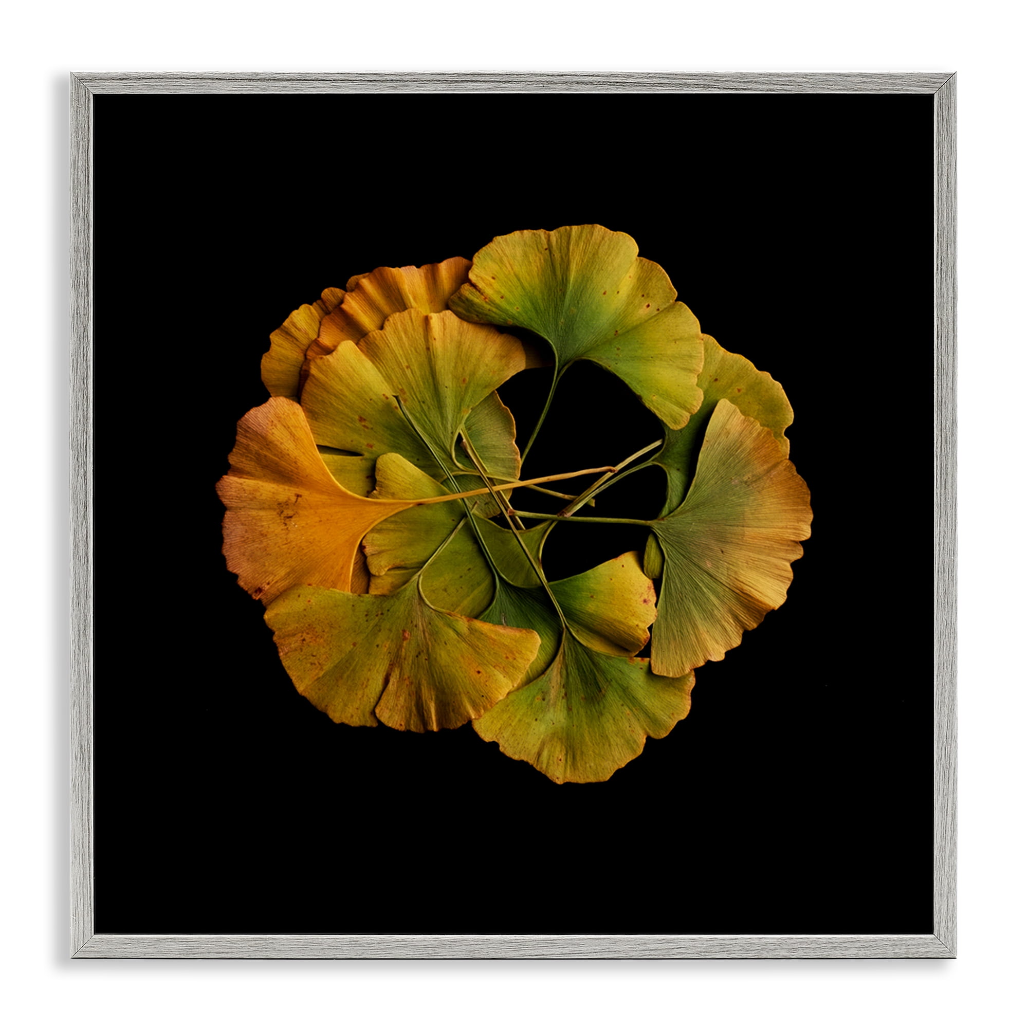 Stupell Industries Overlapping Ginkgo Leaves Gray Framed Giclee Art, design by Beth Adoette