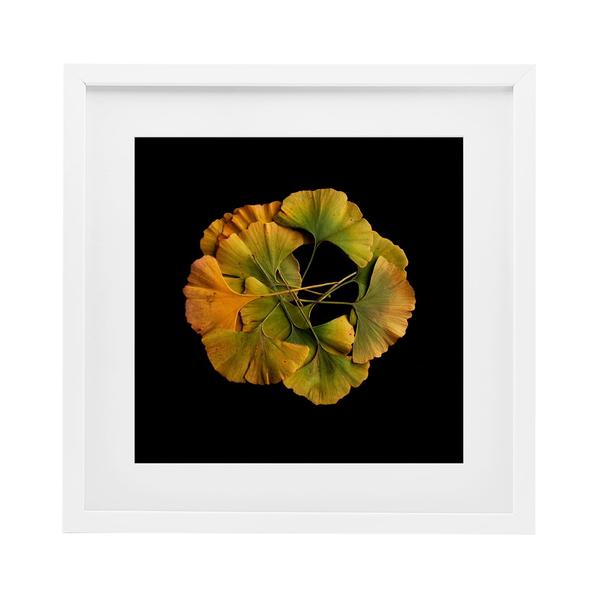 Stupell Industries Overlapping Ginkgo Leaves White Framed Print Under Glass, design by Beth Adoette