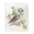 thumbnail image 1 of Stupell Industries Traditional Owl Among Autumn Leaves Canvas Art, 16 x 20, by CAD Designs, 1 of 8