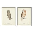 thumbnail image 1 of Stupell Industries Owl Breeds Latin Study Page Detailed Bird Animal Graphic Art White Framed Art Print Wall Art, Set of 2, Design by H. L. Meyer, 1 of 5