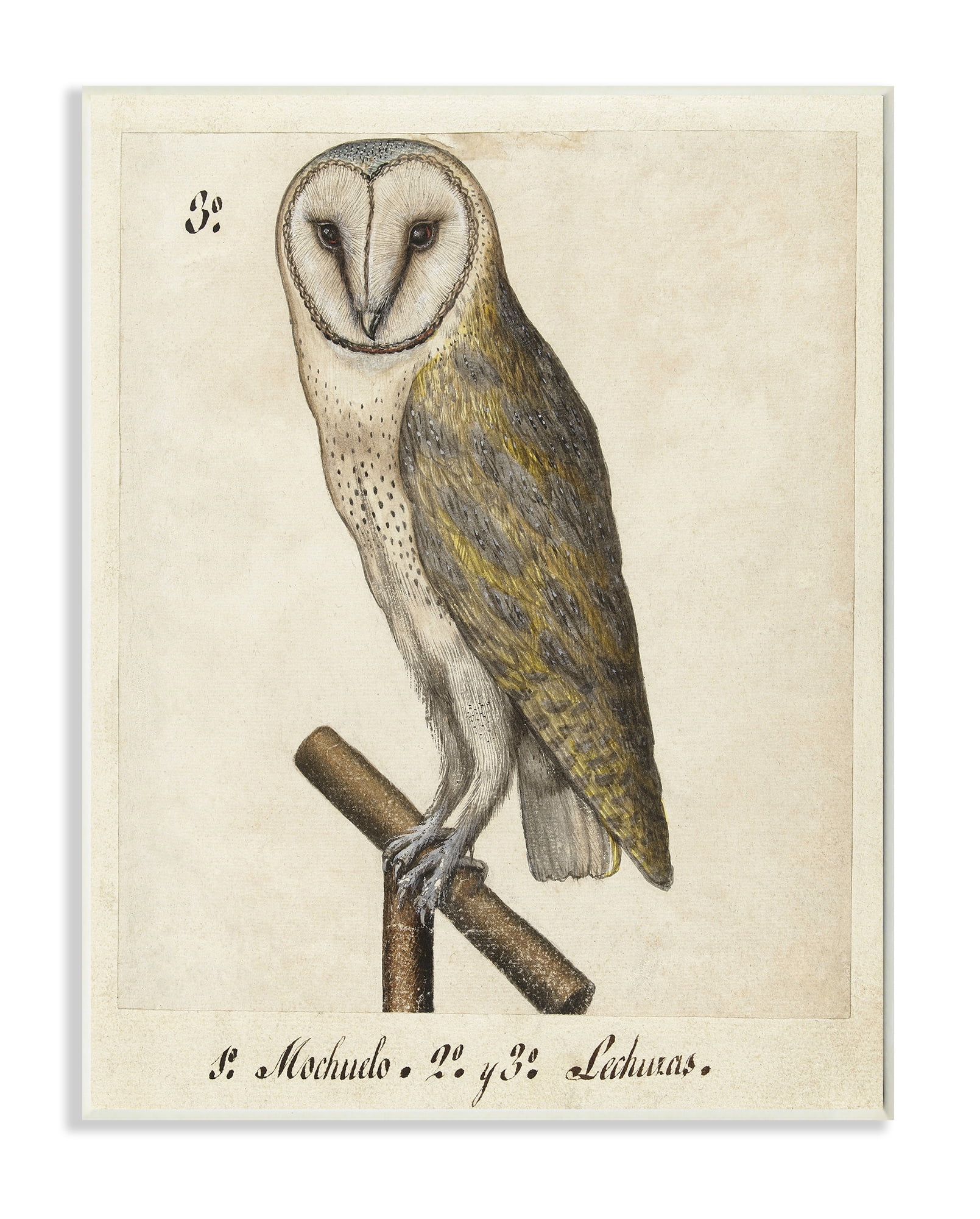 Stupell Industries Owl Drawing Vintage Paper Animal Bird Design Unframed Art Print Wall Art, 13x19, by Unknown