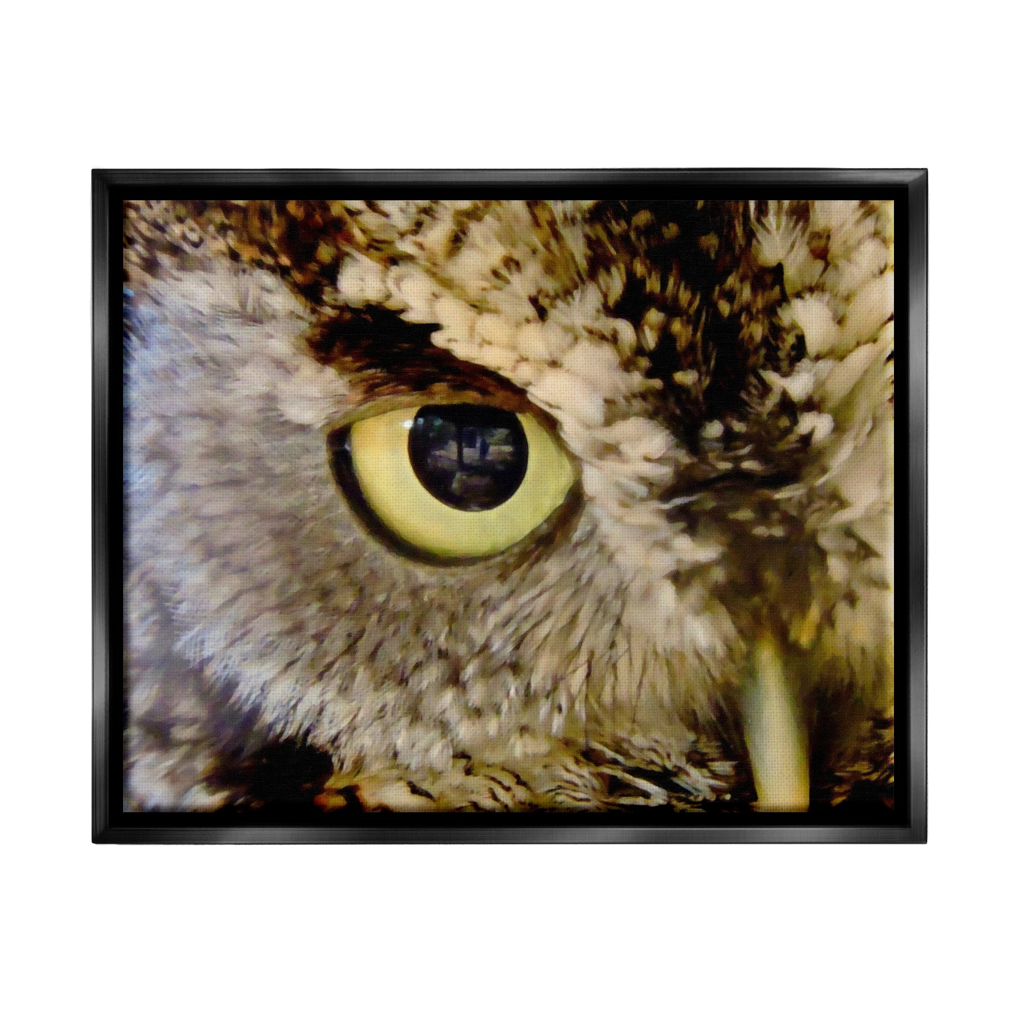 Stupell Industries Owl Eye Close Up Wildlife Animals & Insects Painting Black Floater Framed Art Print Wall Art