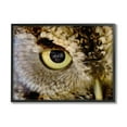 thumbnail image 1 of Stupell Industries Owl Eye Close Up Wildlife Animals & Insects Painting Black Framed Art Print Wall Art, 1 of 5