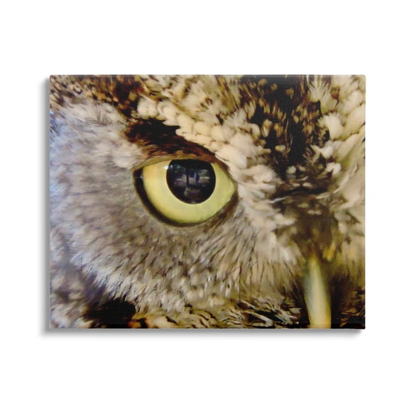Stupell Industries Owl Eye Close Up Wildlife Animals & Insects Painting Gallery Wrapped Canvas Print Wall Art
