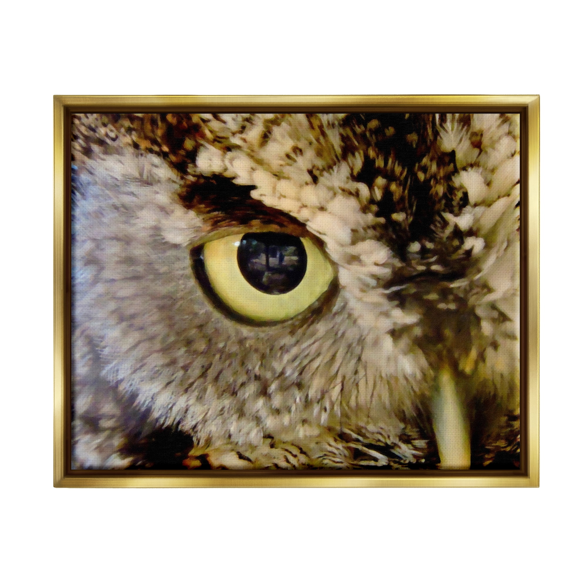 Stupell Industries Owl Eye Close Up Wildlife Animals & Insects Painting Gold Floater Framed Art Print Wall Art