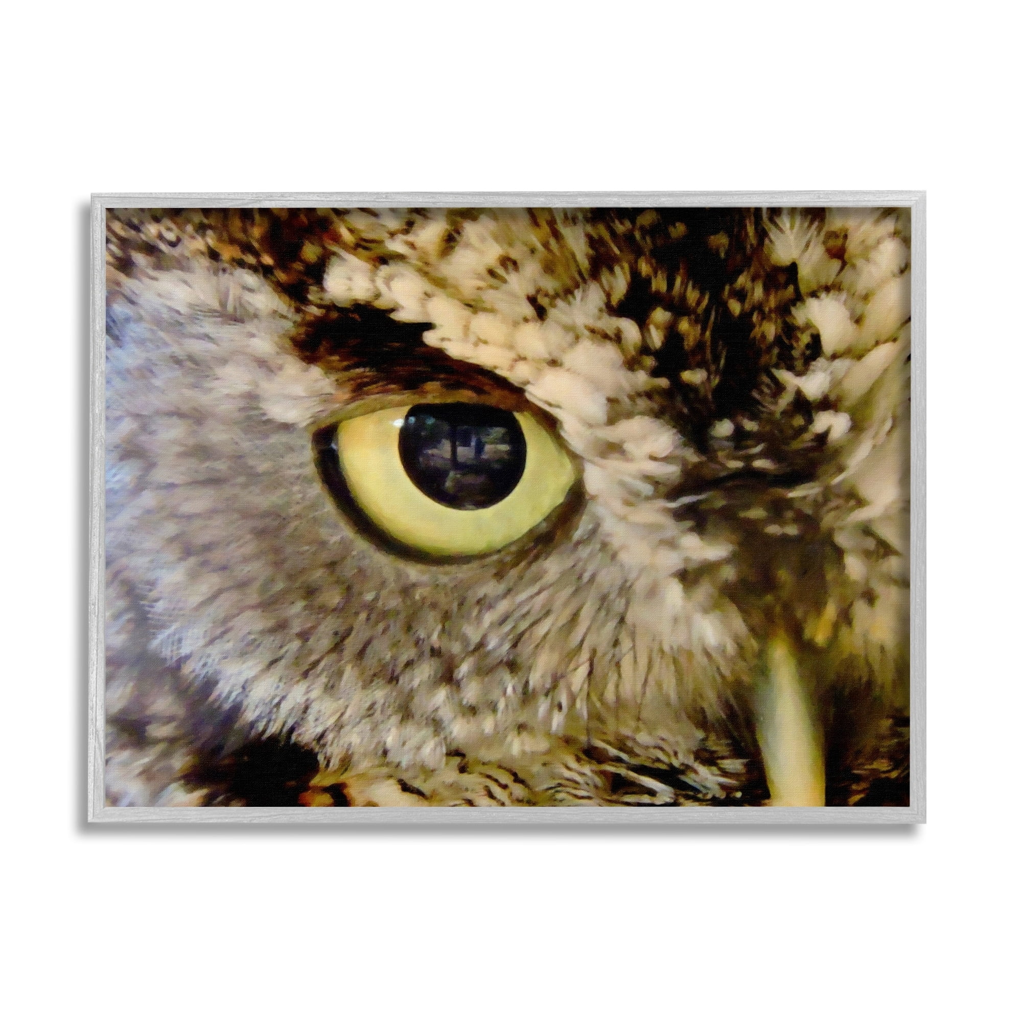 Stupell Industries Owl Eye Close Up Wildlife Animals & Insects Painting Gray Framed Art Print Wall Art