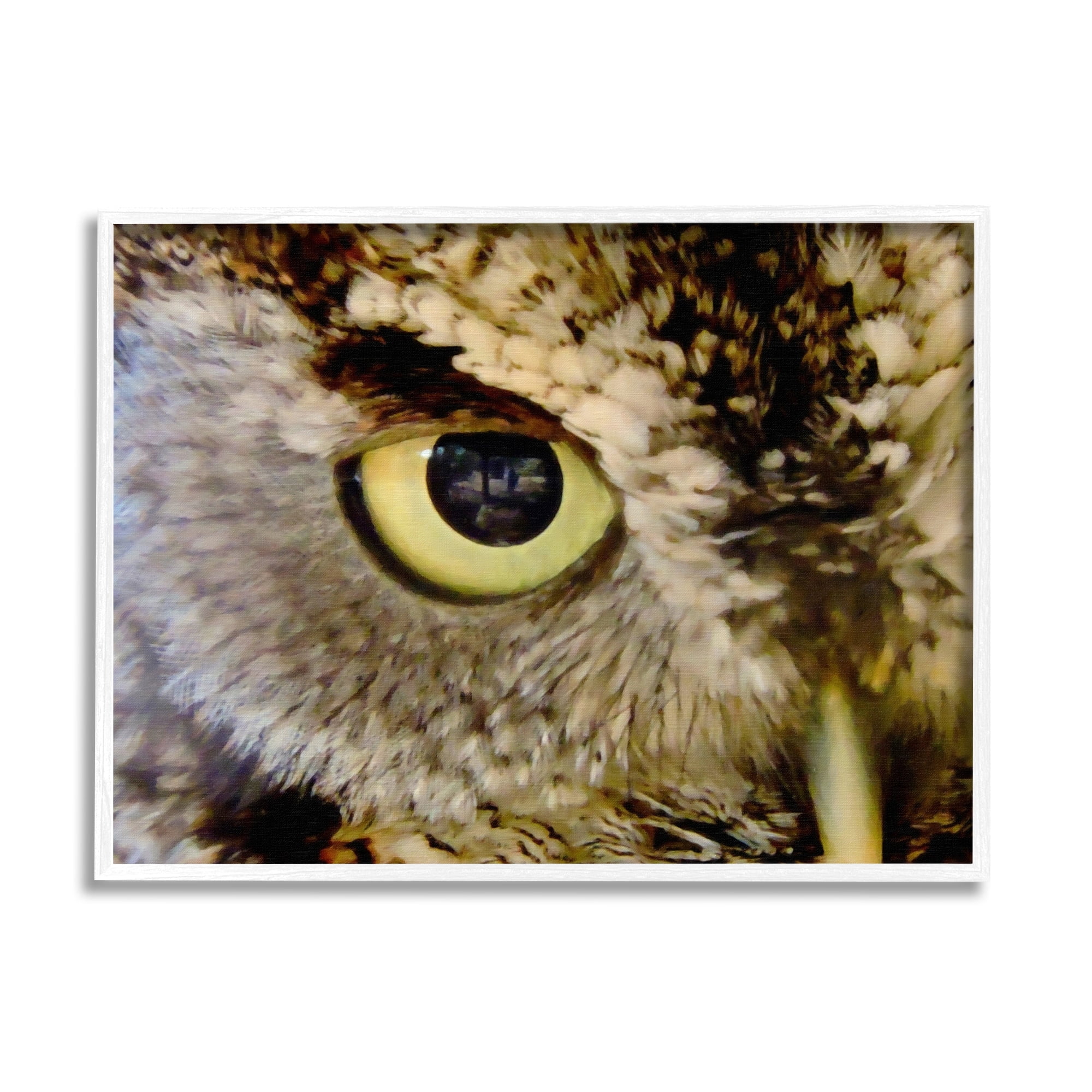 Stupell Industries Owl Eye Close Up Wildlife Animals & Insects Painting White Framed Art Print Wall Art