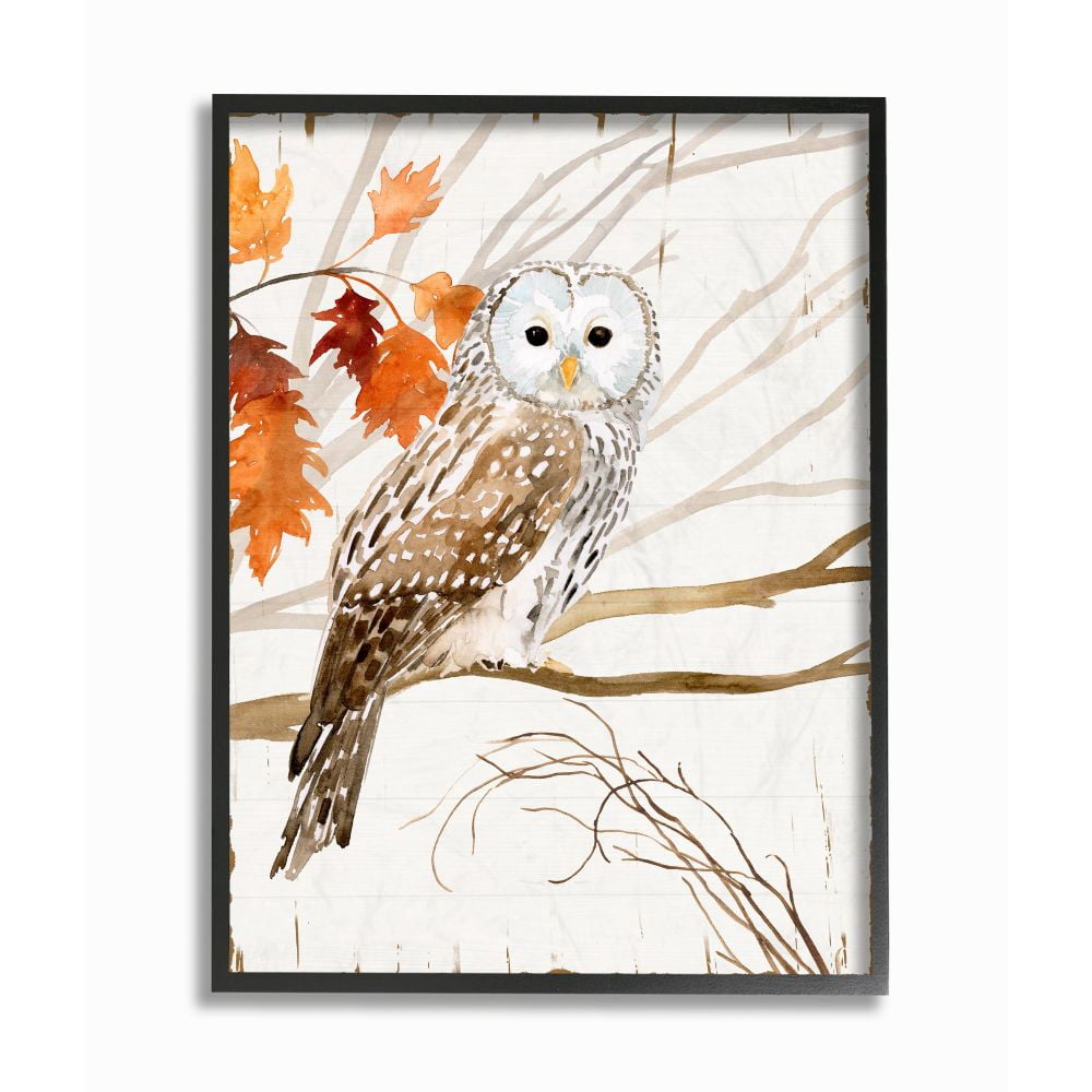 Stupell Industries Owl In Autumn Forest Animal Watercolor Painting Black Framed Wall Art, 16 x 20, byVictoria Borges