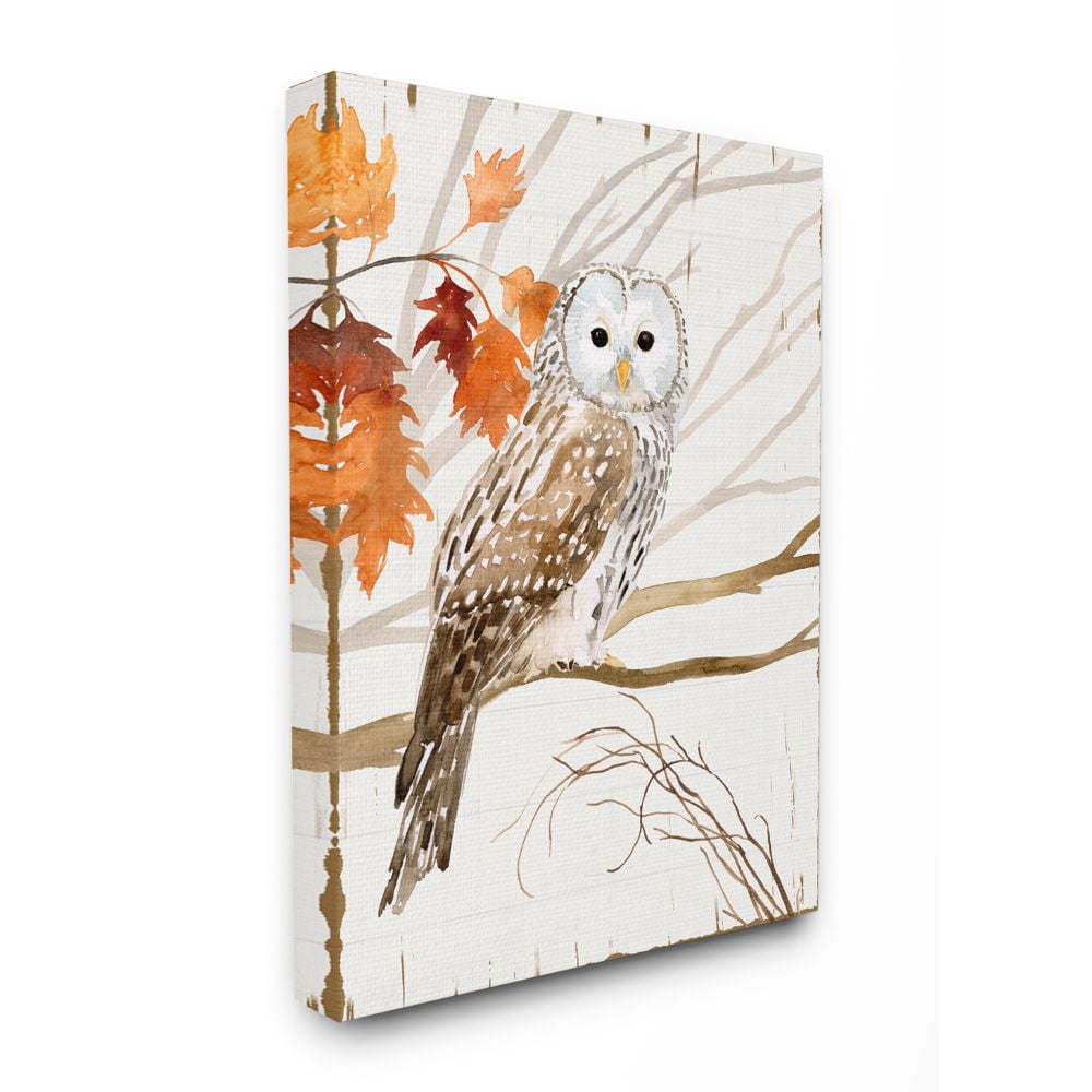 Stupell Industries Owl In Autumn Forest Animal Watercolor Painting Canvas Wall Art, 30 x 40, byVictoria Borges