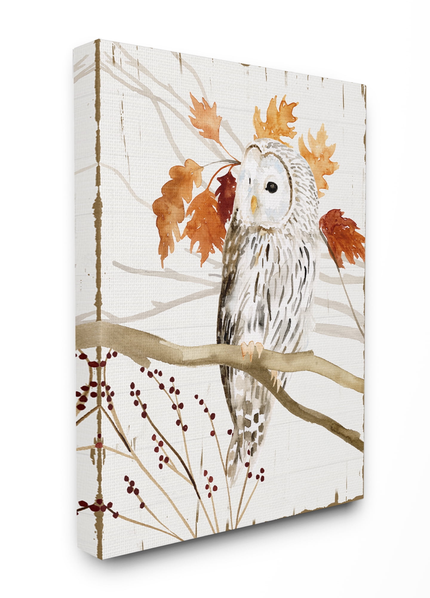 Stupell Industries Owl In Fall Forest Animal Watercolor Painting Canvas Wall Art, 16 x 20, byVictoria Borges