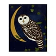 thumbnail image 1 of Stupell Industries Rustic Lodge Owl & Moon Forest Canvas Art, 30 x 40, by Michelle Ingari Designs, 1 of 8
