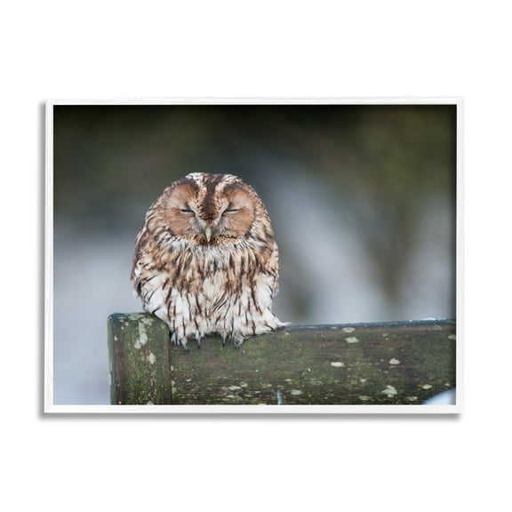 Stupell Industries Owl Perched Fence Post Wildlife Nature Photography Photograph White Framed Art Print Wall Art, Design by James Dobson