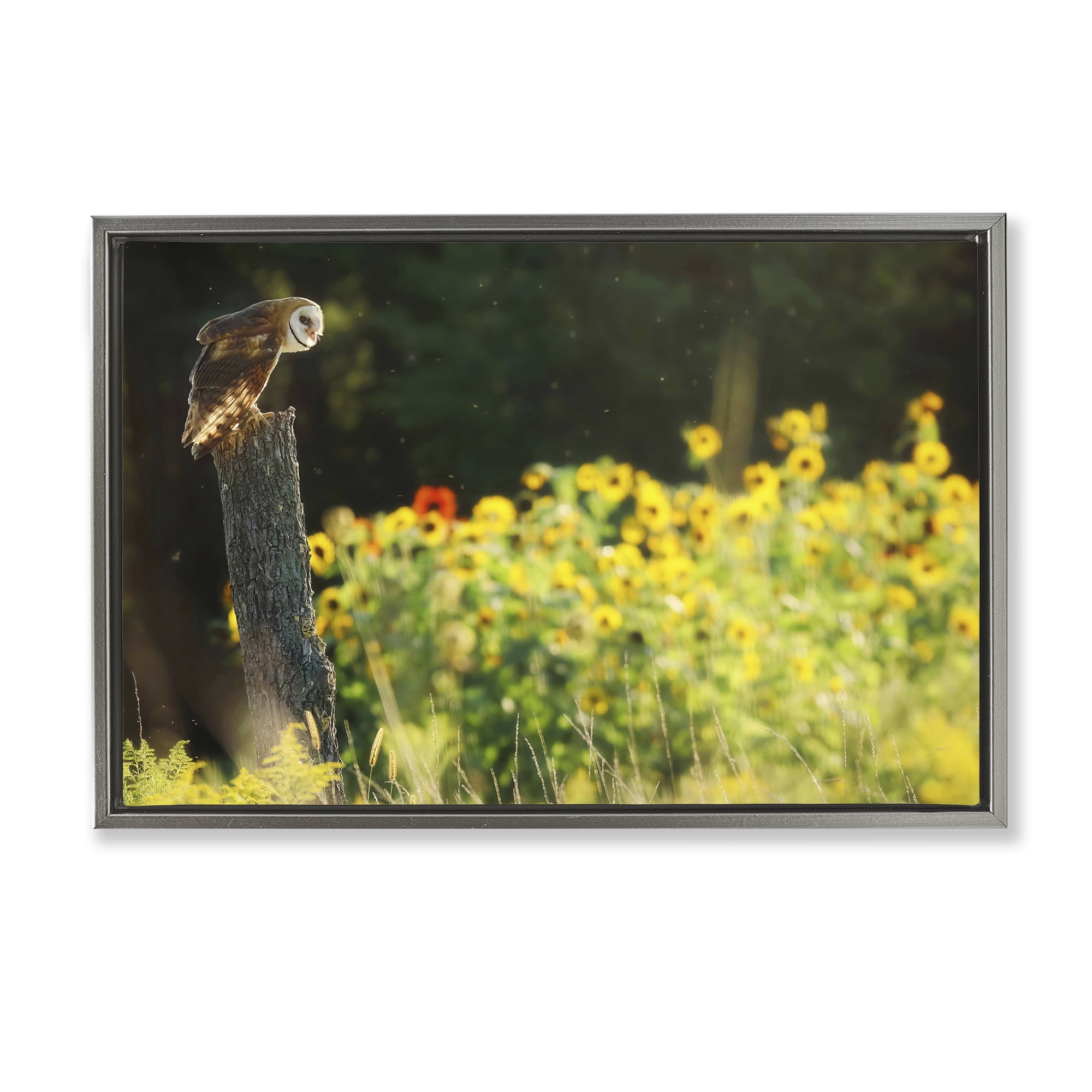 Stupell Industries Owl Perched in Meadow Landscape Photography Gray Floater Framed Canvas Art Print Wall Art, 31 x 21