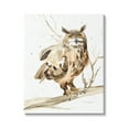 thumbnail image 1 of Stupell Industries Owl Perched in Tree Animals & Insects Painting Gallery Wrapped Canvas Print Wall Art, 16 x 20, 1 of 7