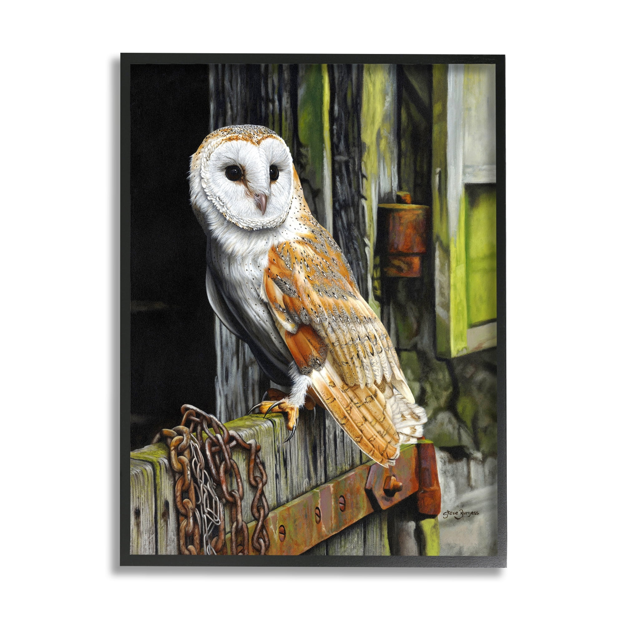 Stupell Industries Owl Perched on Barn Door Animals & Insects Painting Black Framed Art Print Wall Art, 24 x 30